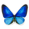 blue-butterfly-neck-pillow