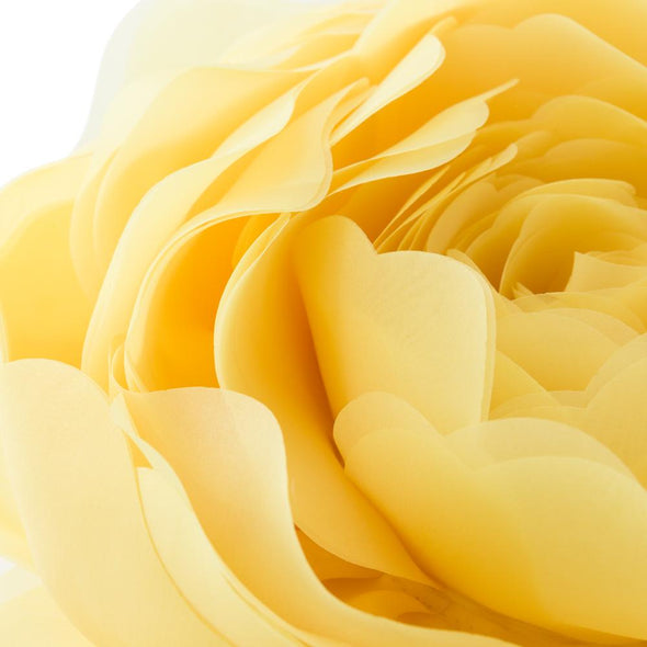 round-decorative -pillow