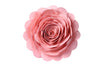 pink-rose-pillow