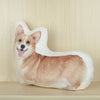 3d-corgi-dog-plush-pillow 
