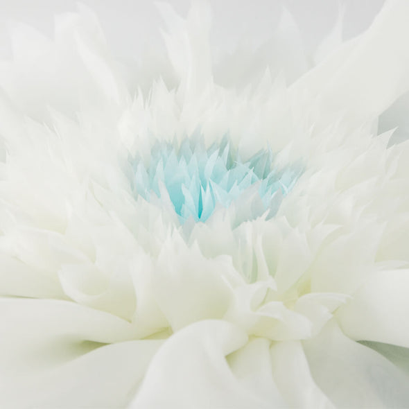 white-empty-pillow-case