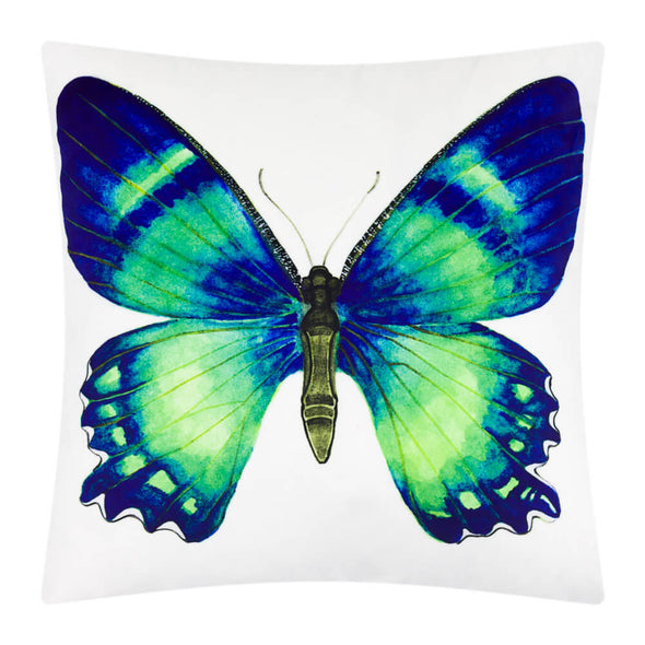 beautiful-butterfly-throw-pillow