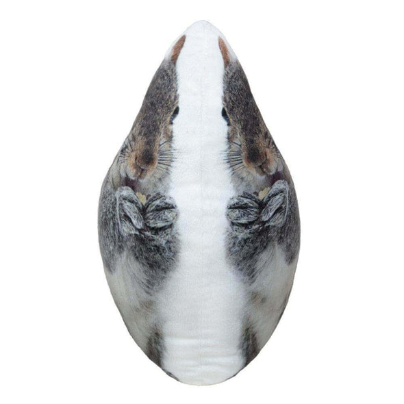 squirrel-pillow-case