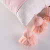 tassel-pillow