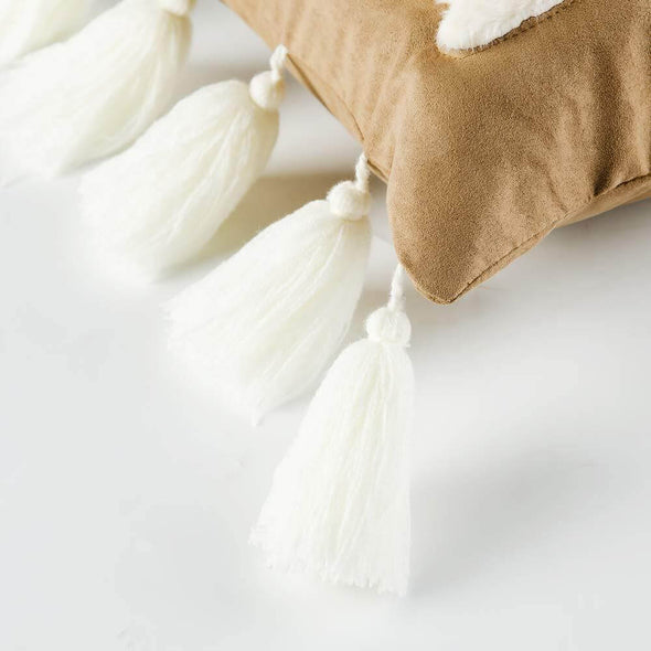 tassel-pillow-case