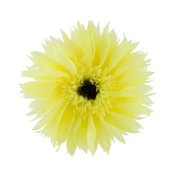 round-yellow-decorative-pillows-couch